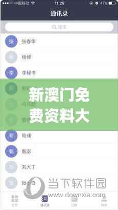 新澳门免费资料大全在线查看,快速设计解析问题_游戏版93.349
