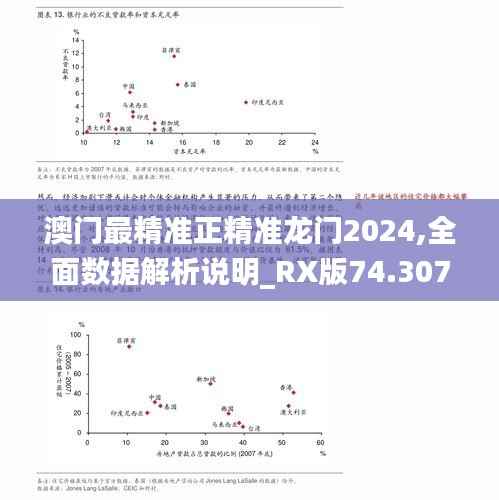 澳门最精准正精准龙门2024,全面数据解析说明_RX版74.307