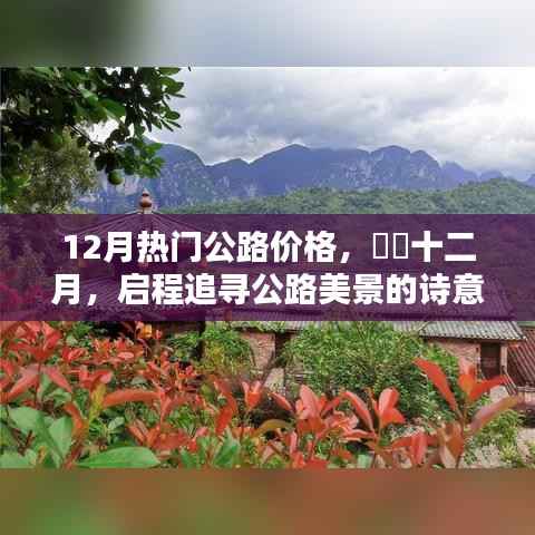 十二月公路热门价格,诗意之旅启程探寻美景