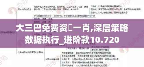 大三巴免费资枓一肖,深层策略数据执行_进阶款10.720