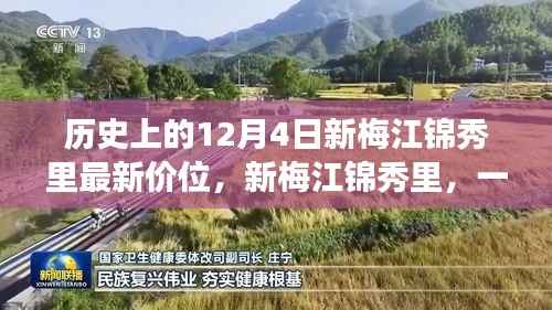 新梅江锦秀里价格探索,历史12月4日的温馨价位之旅