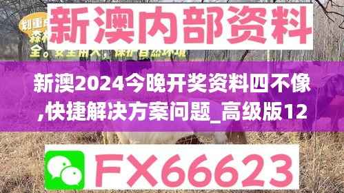 新澳2024今晚开奖资料四不像,快捷解决方案问题_高级版12.174