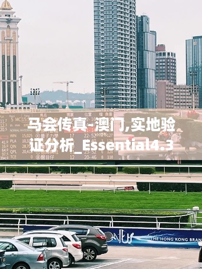 马会传真-澳门,实地验证分析_Essential4.384