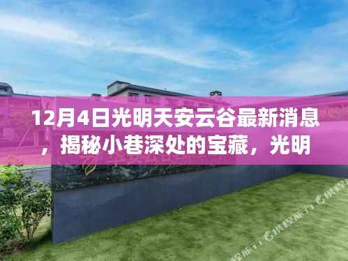 光明天安云谷探秘,揭秘小巷宝藏与特色小店最新消息(12月4日)