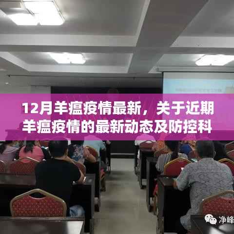 近期羊瘟疫情动态更新,最新防控科普知识