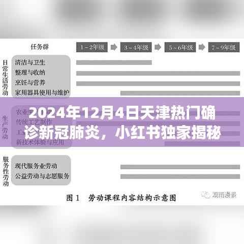 小红书独家揭秘,天津新冠肺炎确诊背后的故事,抗疫一线纪实(2024年)