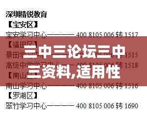 三中三论坛三中三资料,适用性策略设计_网页版4.960