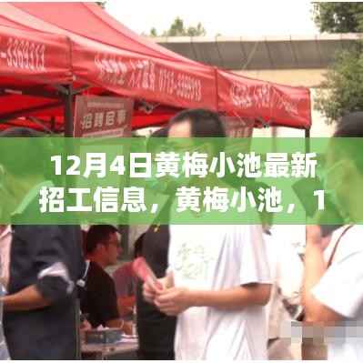黄梅小池最新招工信息揭秘,热潮涌动背后的深意与时代地位