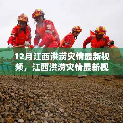 江西洪涝灾情下的挑战与应对,最新视频引发的思考