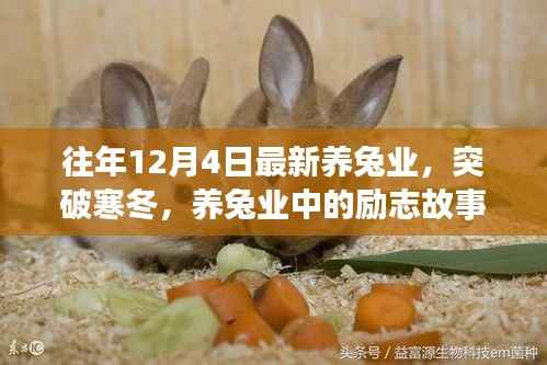 励志养兔业，突破寒冬，自信成就未来之路