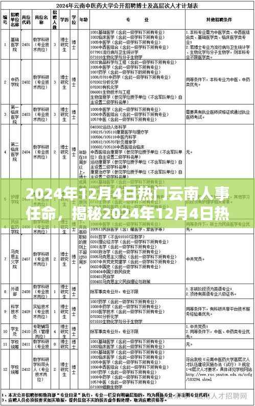 揭秘，2024年12月4日云南人事任命背后的故事与热议话题