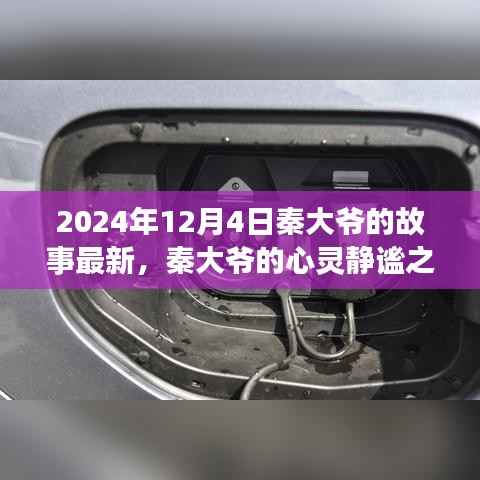 秦大爷的心灵静谧之旅,最新故事与自然美景探索于2024年12月4日