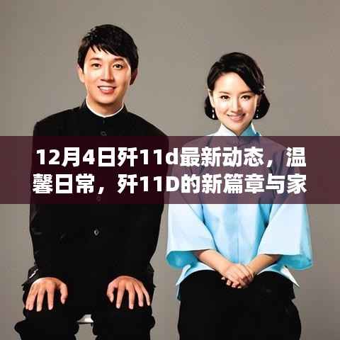 歼11D最新动态揭秘,新篇章开启与家的温馨日常