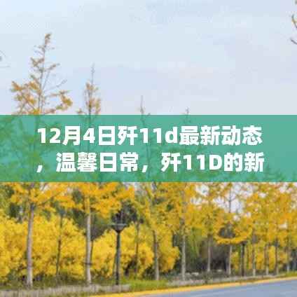 歼11D最新动态揭秘,新篇章开启与家的温馨日常