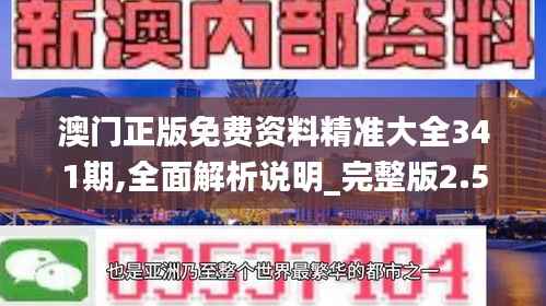 澳门正版免费资料精准大全341期,全面解析说明_完整版2.554