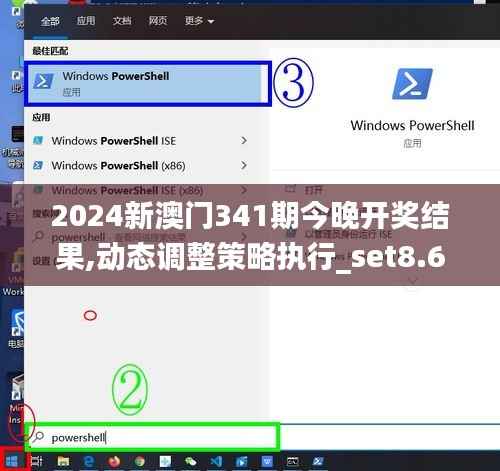 2024新澳门341期今晚开奖结果,动态调整策略执行_set8.668