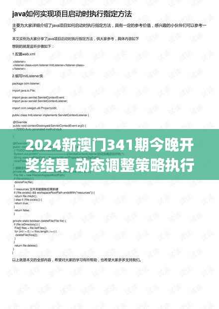 2024新澳门341期今晚开奖结果,动态调整策略执行_set8.668