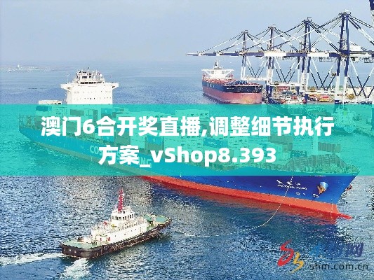 澳门6合开奖直播,调整细节执行方案_vShop8.393