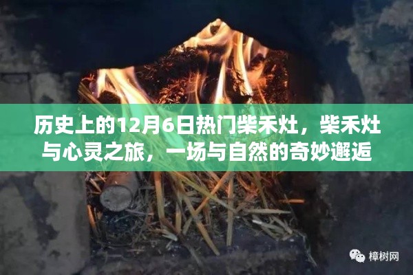 柴禾灶的心灵之旅,与自然奇妙逅遇的历史纪念日