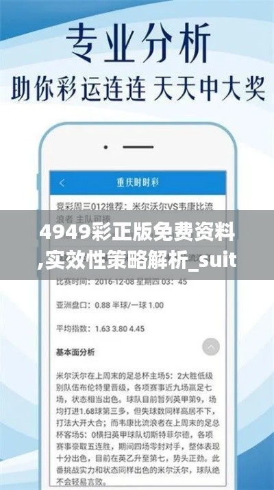 4949彩正版免费资料,实效性策略解析_suite8.736