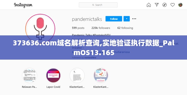 373636.com域名解析查询,实地验证执行数据_PalmOS13.165