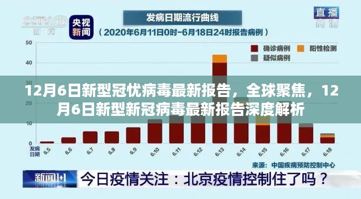 全球聚焦,12月6日新型新冠病毒最新报告深度解析与探讨