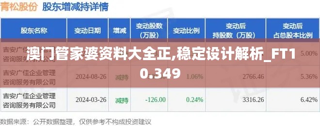 澳门管家婆资料大全正,稳定设计解析_FT10.349