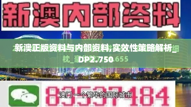 新澳正版资料与内部资料,实效性策略解析_DP2.750