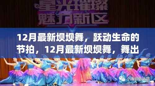 12月最新坝坝舞,跃动生命,舞出自信与成就之光