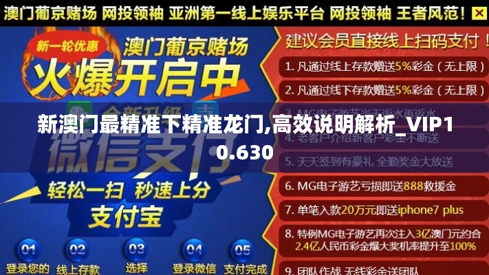 新澳门最精准下精准龙门,高效说明解析_VIP10.630