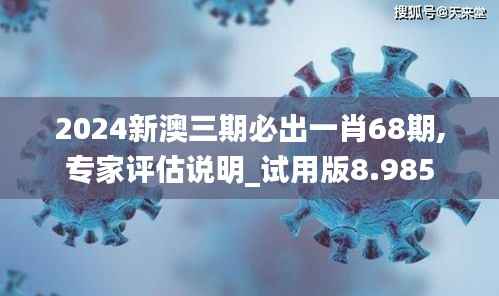2024新澳三期必出一肖68期,专家评估说明_试用版8.985