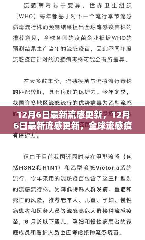 全球流感疫情最新动态,应对策略与最新动态(12月6日更新)