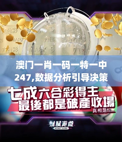 澳门一肖一码一特一中247,数据分析引导决策_WP15.956