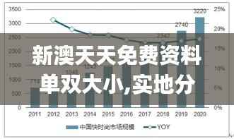 新澳天天免费资料单双大小,实地分析数据方案_The10.944