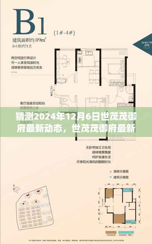 世茂茂御府未来展望,揭秘2024年12月6日最新动态与评测报告