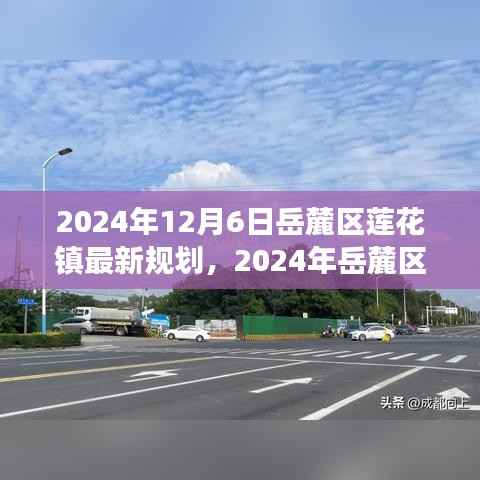 岳麓区莲花镇未来蓝图展望,揭秘最新规划与发展趋势(2024年)