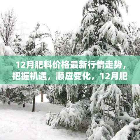 励志成长之旅，顺应变化，掌握机遇——揭秘十二月肥料价格行情走势