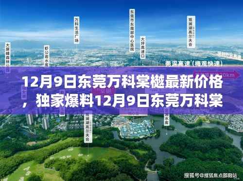 独家爆料,东莞万科棠樾最新价格揭秘,心动不如行动!