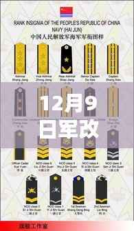 揭秘军改军衔设置新动态,小巷深处的特色小店与最新军衔图片展示