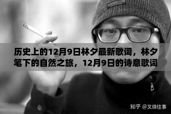 林夕笔下的自然之旅与诗意歌词心灵之旅,纪念历史上的12月9日