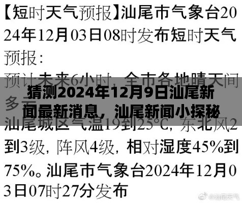 独家揭秘,汕尾新闻小探秘,带你领略温馨日常的汕尾新闻最新消息(预测日期,2024年12月9日)
