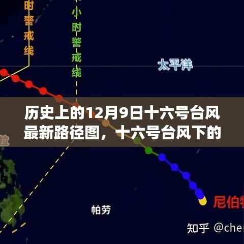 十六号台风下的温馨日常与家的温暖，一场与风的奇妙冒险