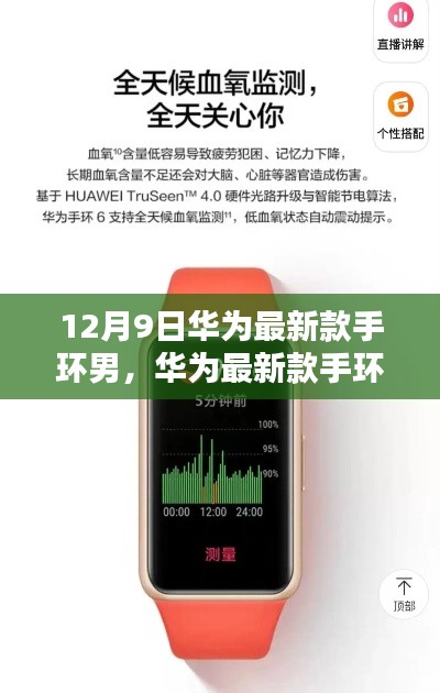 华为最新款手环男款深度解析,特性、体验与目标用户分析