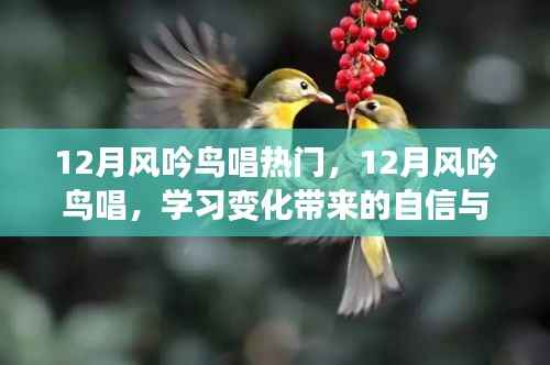 12月风吟鸟唱,学习变化中的自信与成就感之旅