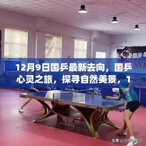 国乒心灵探寻之旅,自然美景中的宁静之旅(最新动向)