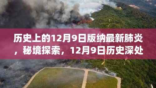 秘境探索与战疫美食,历史上的12月9日西双版纳版特色美食之旅