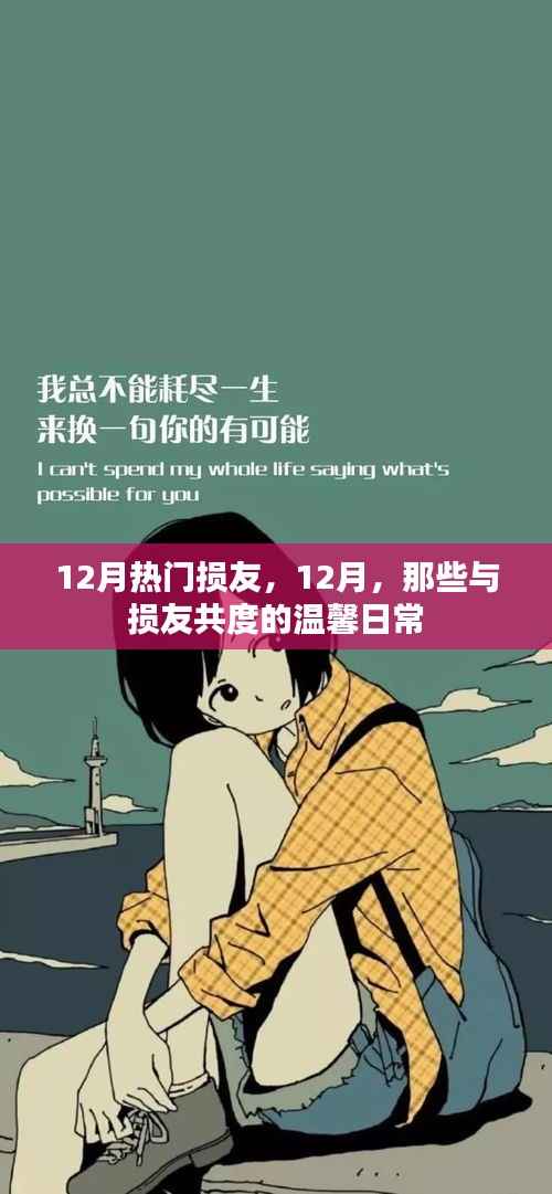 12月与损友间的温馨日常,记录那些欢乐时光