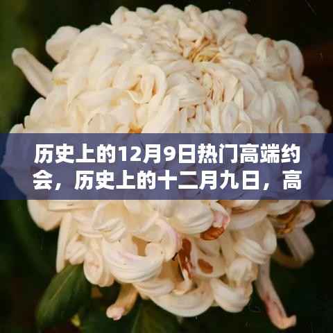 历史上的十二月九日,高端约会的璀璨时刻回顾