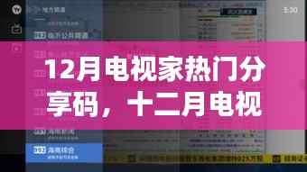 十二月电视家热门分享码回顾,热潮、影响与时代印记