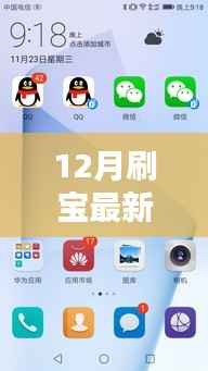 12月刷宝最新版下载,全新体验,一键开启,尽享极致乐趣